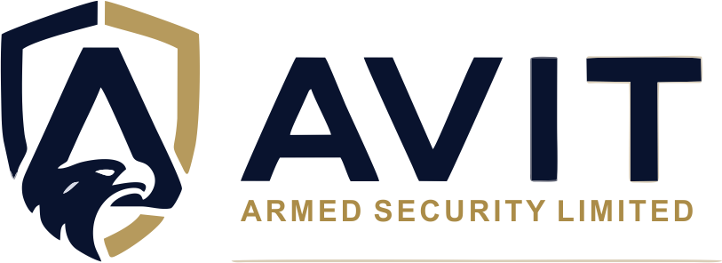 Avit dev test